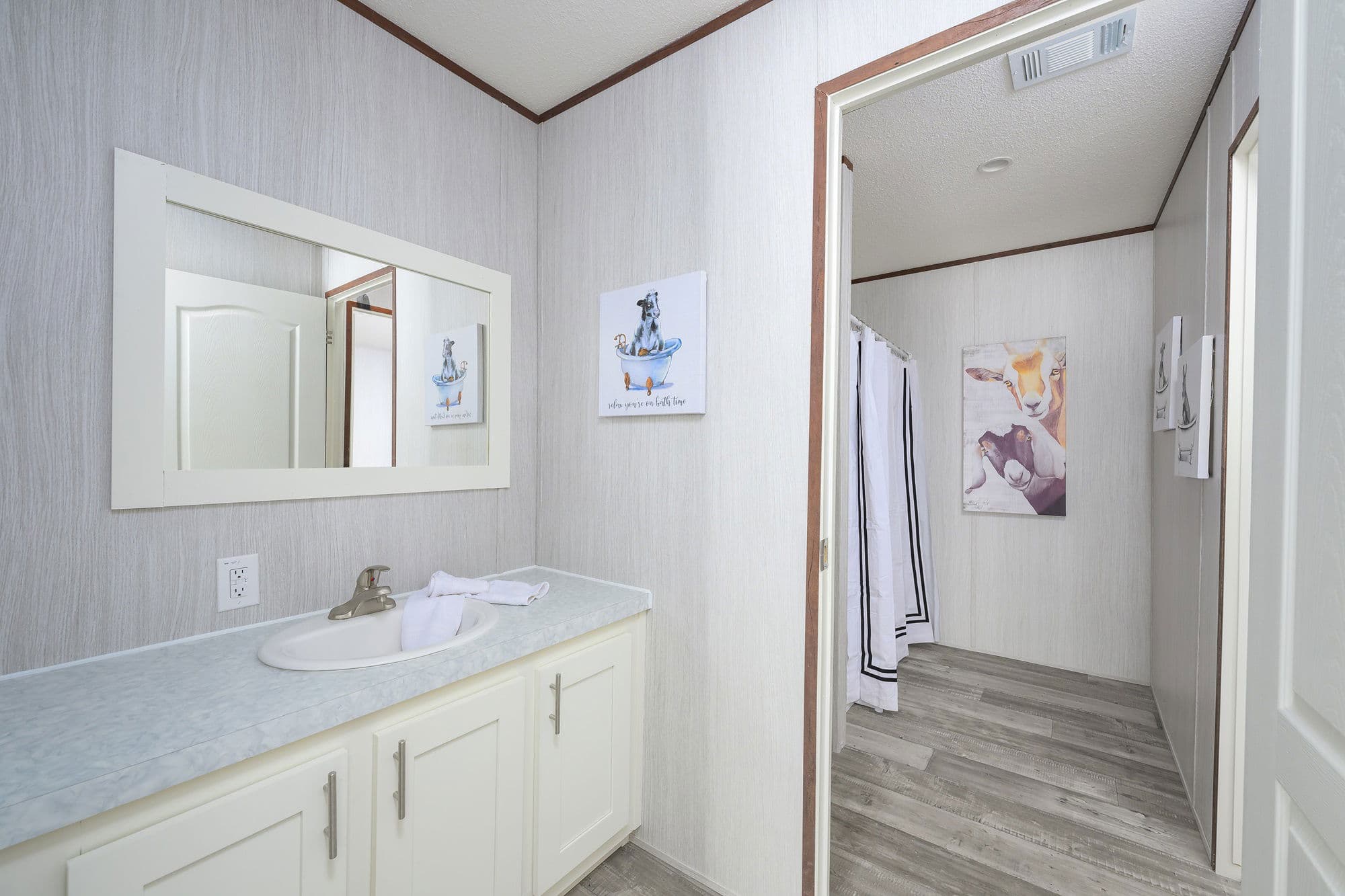 Blitz bathroom home features