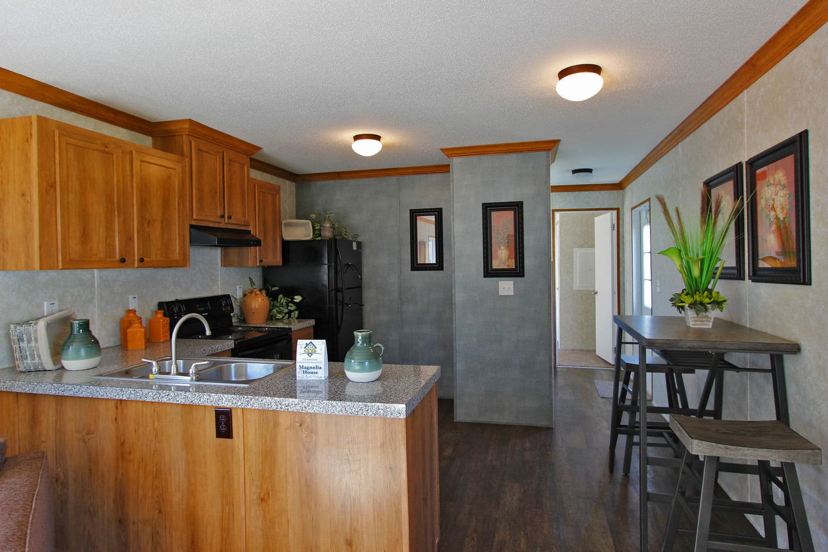 Lightning kitchen home features